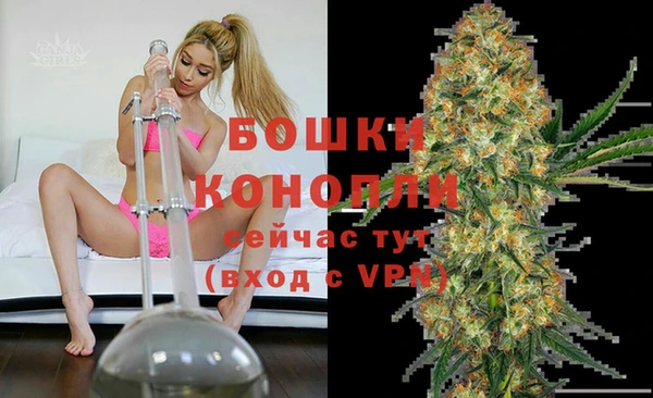 PSILOCYBIN Баксан