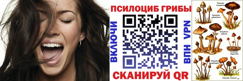 маркетплейс наркотические препараты  Прохладный  Галлюциногенные грибы Cubensis 